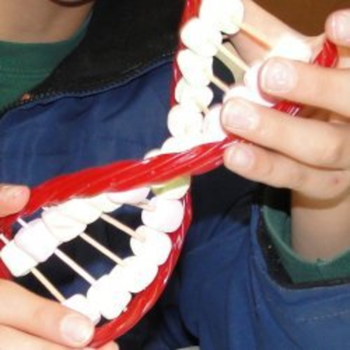 Edible model of DNA 