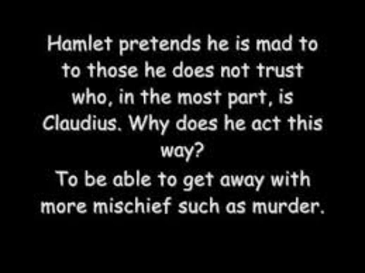 Hamlet's Madness