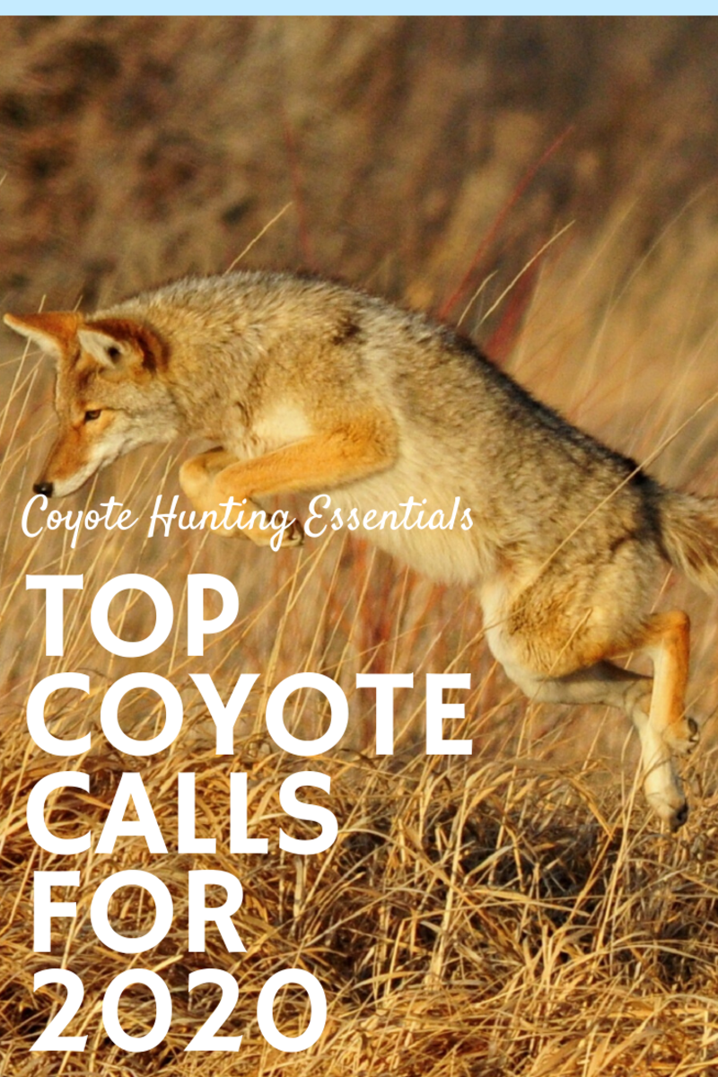 Coyote Hunting Gear 3 Best Non Electronic Predator Calls For 2020 Hubpages 1610