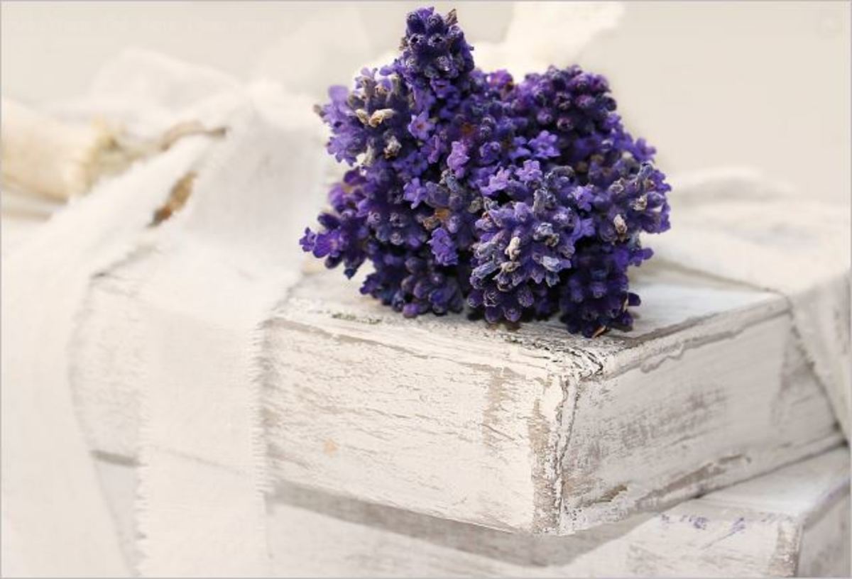 the-joy-of-lavender-and-its-many-uses