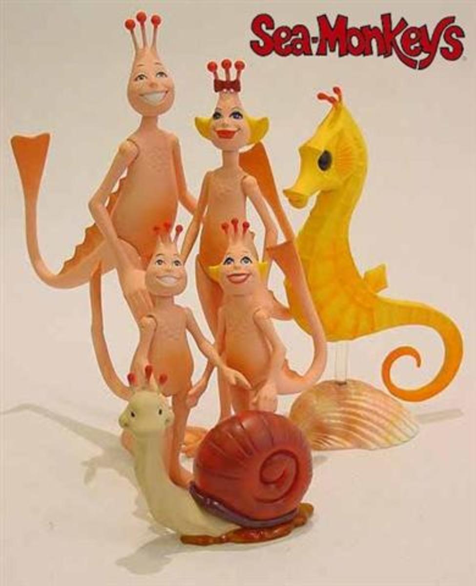 Sea-Monkeys the Easiest Pets of all