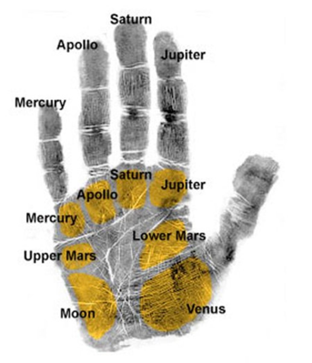 palmistry--an-insight-of-this-art