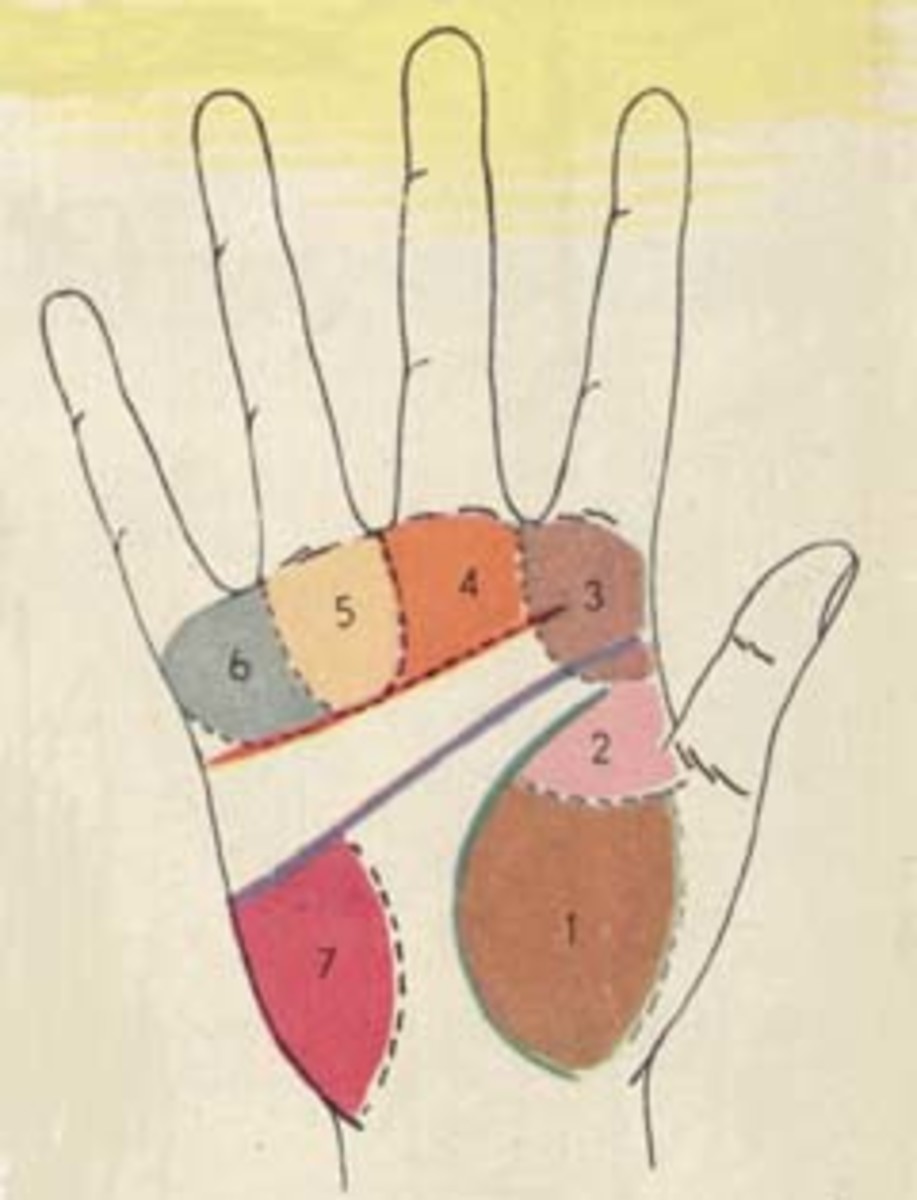 palmistry--an-insight-of-this-art
