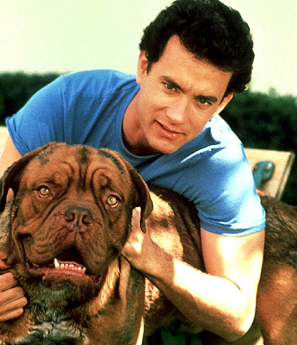 top-10-dog-film-stars-of-all-time
