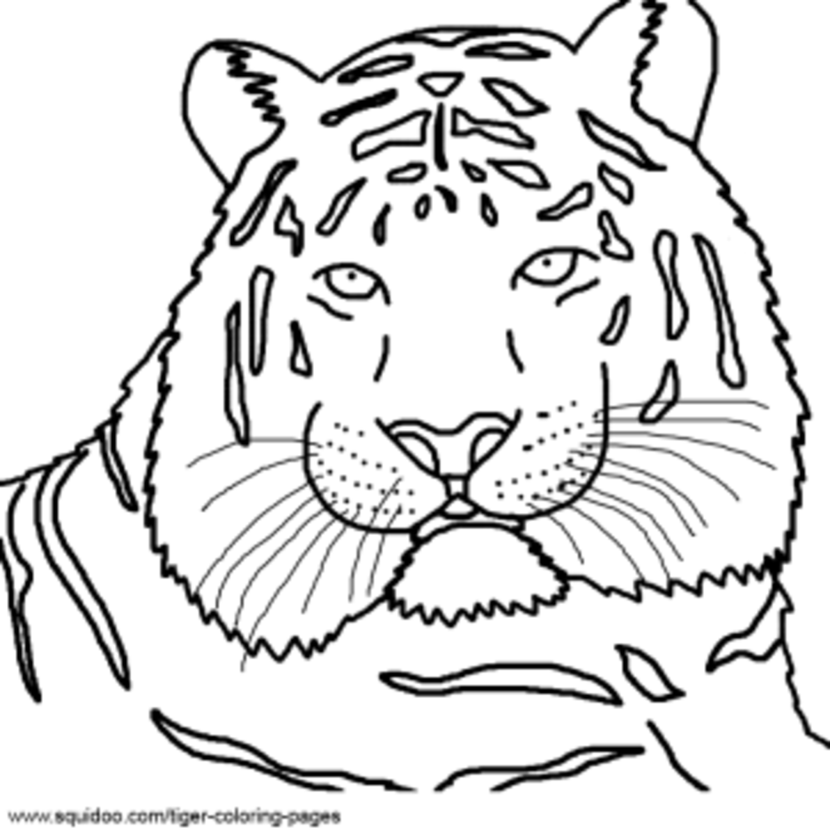 Маска тигра карандашом