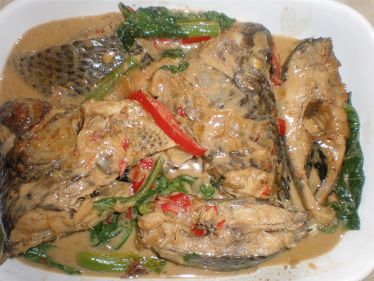 Ginataang Tilapia - Tilapia Cooked in Coconut Milk (Photo courtesy by AiLyn_nop from Flickr.com)