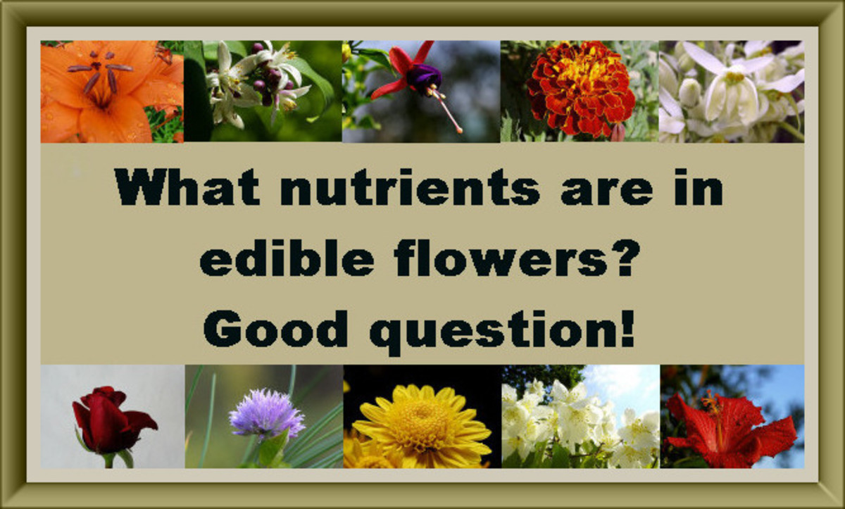 How Nutritous Are Edible Flowers?