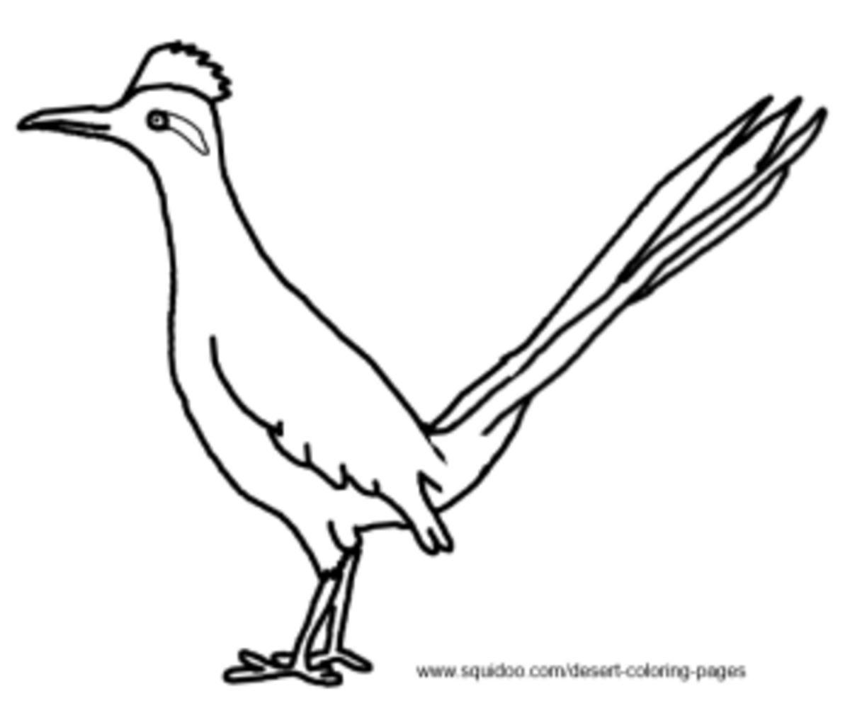 Roadrunner Coloring Pages
