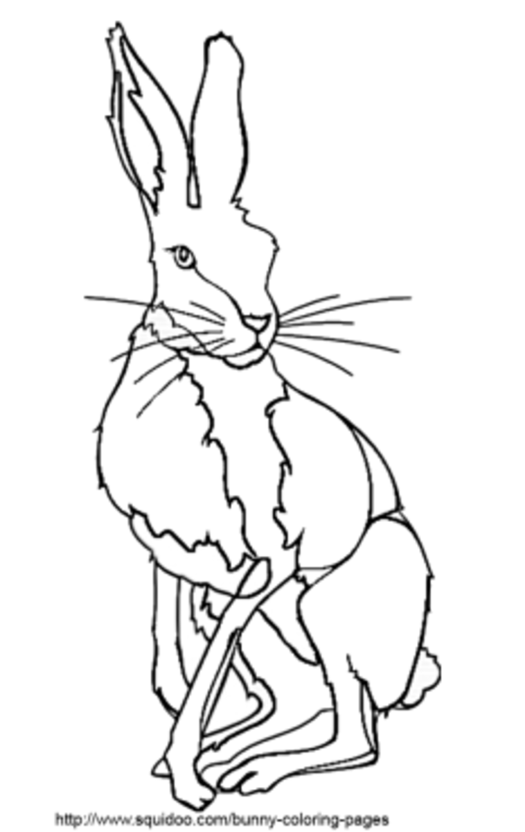 hare coloring pages