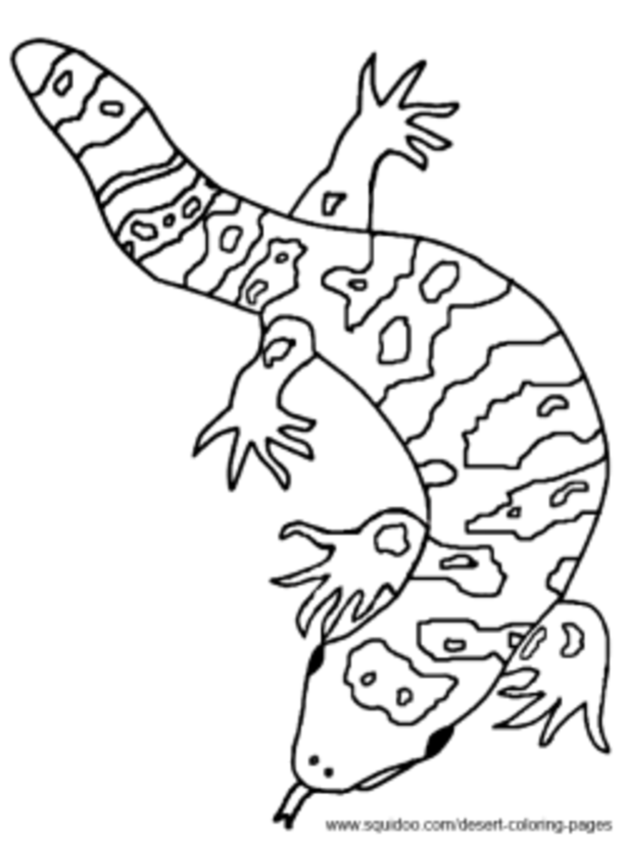Gila Monster Coloring Pages