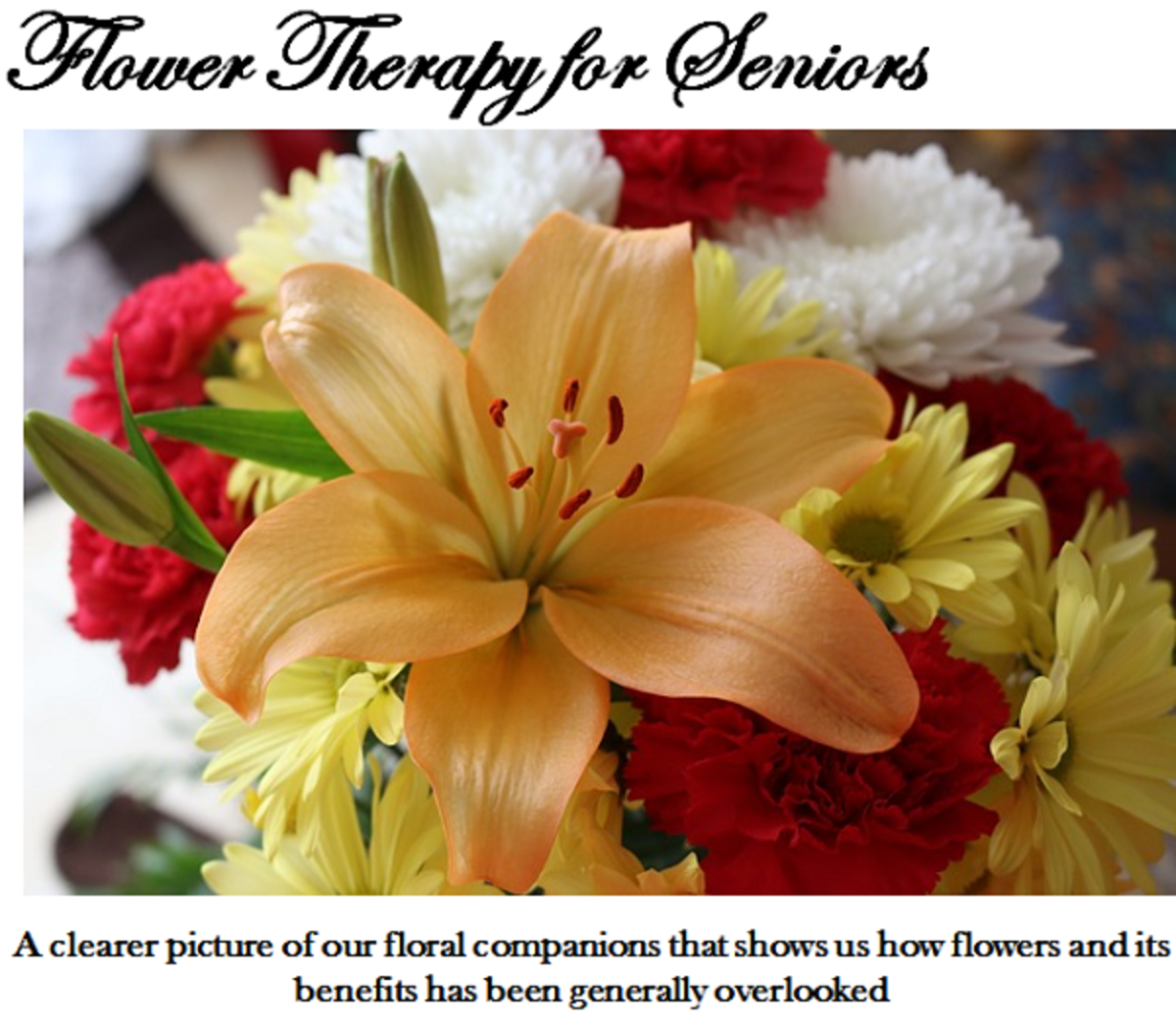 senior-citizens-flowers-happiness-and-wellbeing