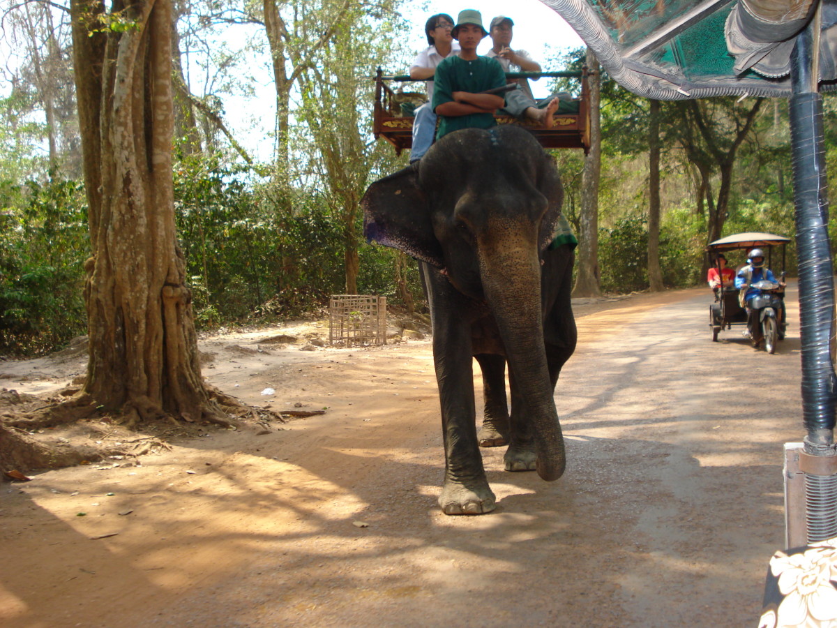 Elephant Rides in Cambodia Srok Khmer!