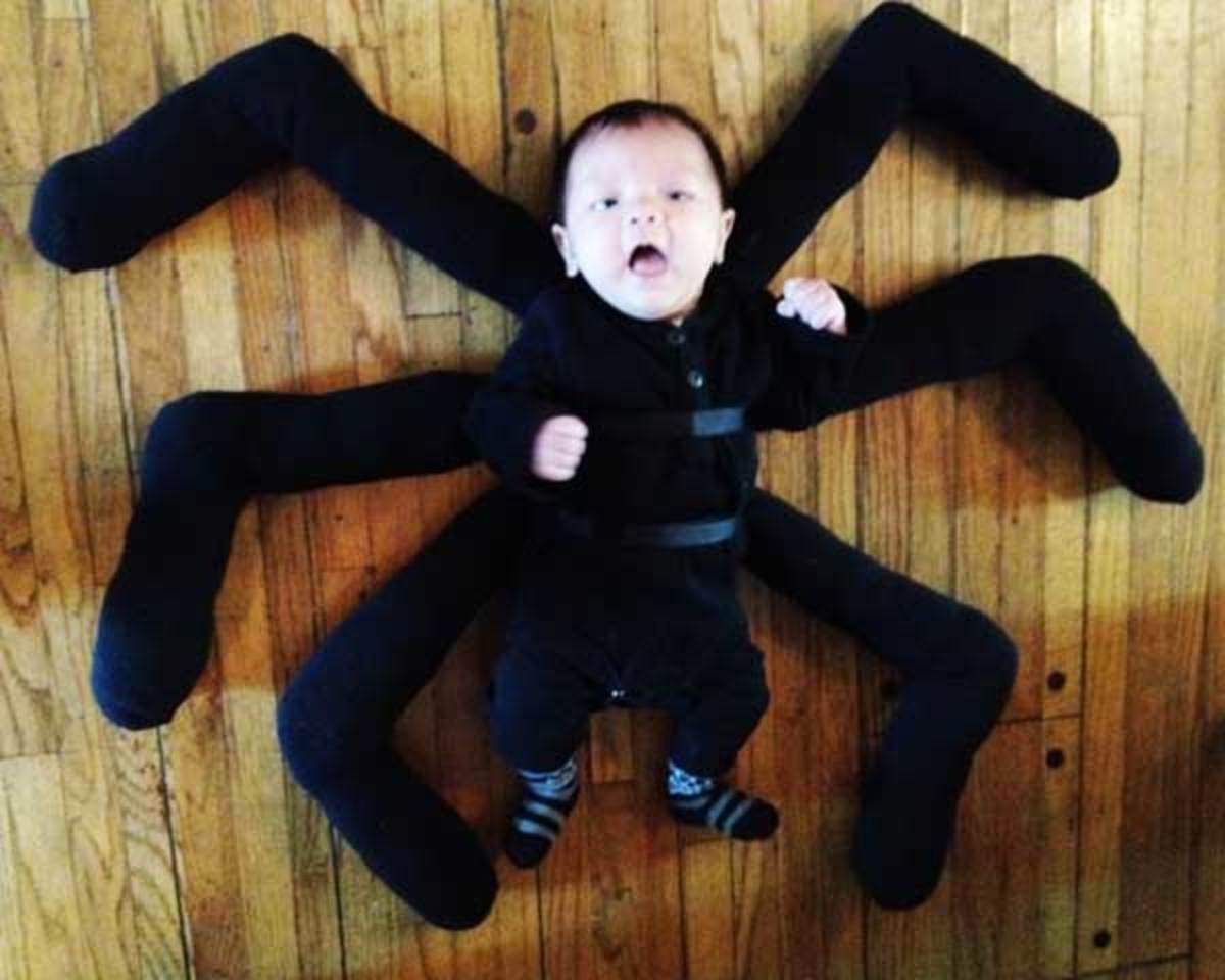 baby-spider-costumes
