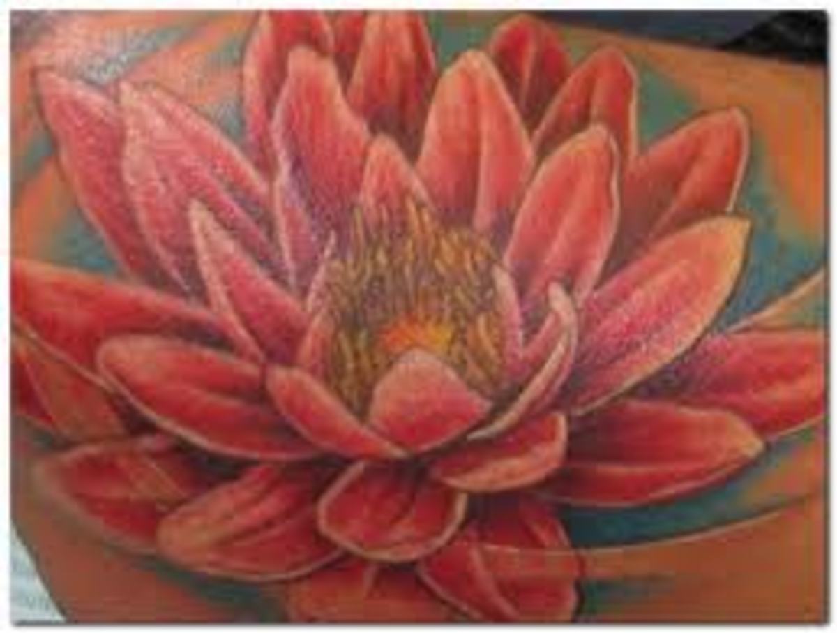 Lotus Tattoo And Lotus Tattoo Meanings- Lotus Flower Tattoo Ideas And Designs