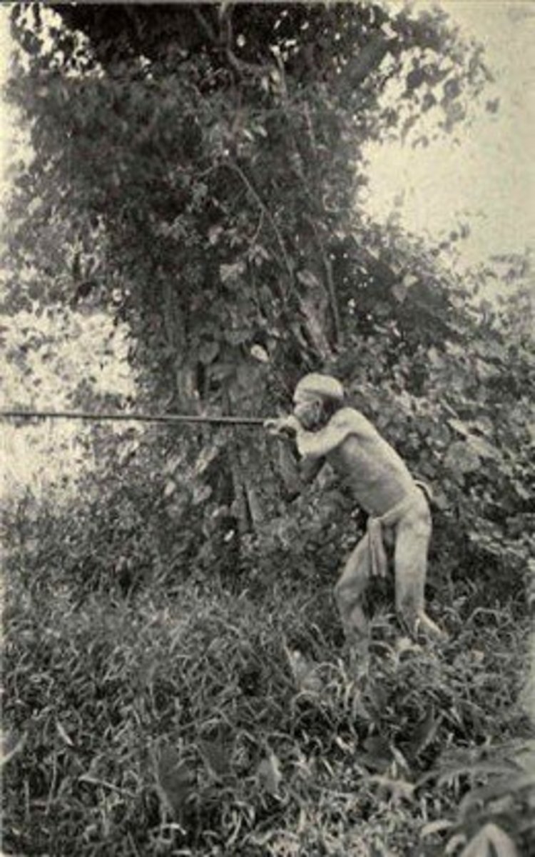 Blowgun Weapons and Blow Darts HubPages