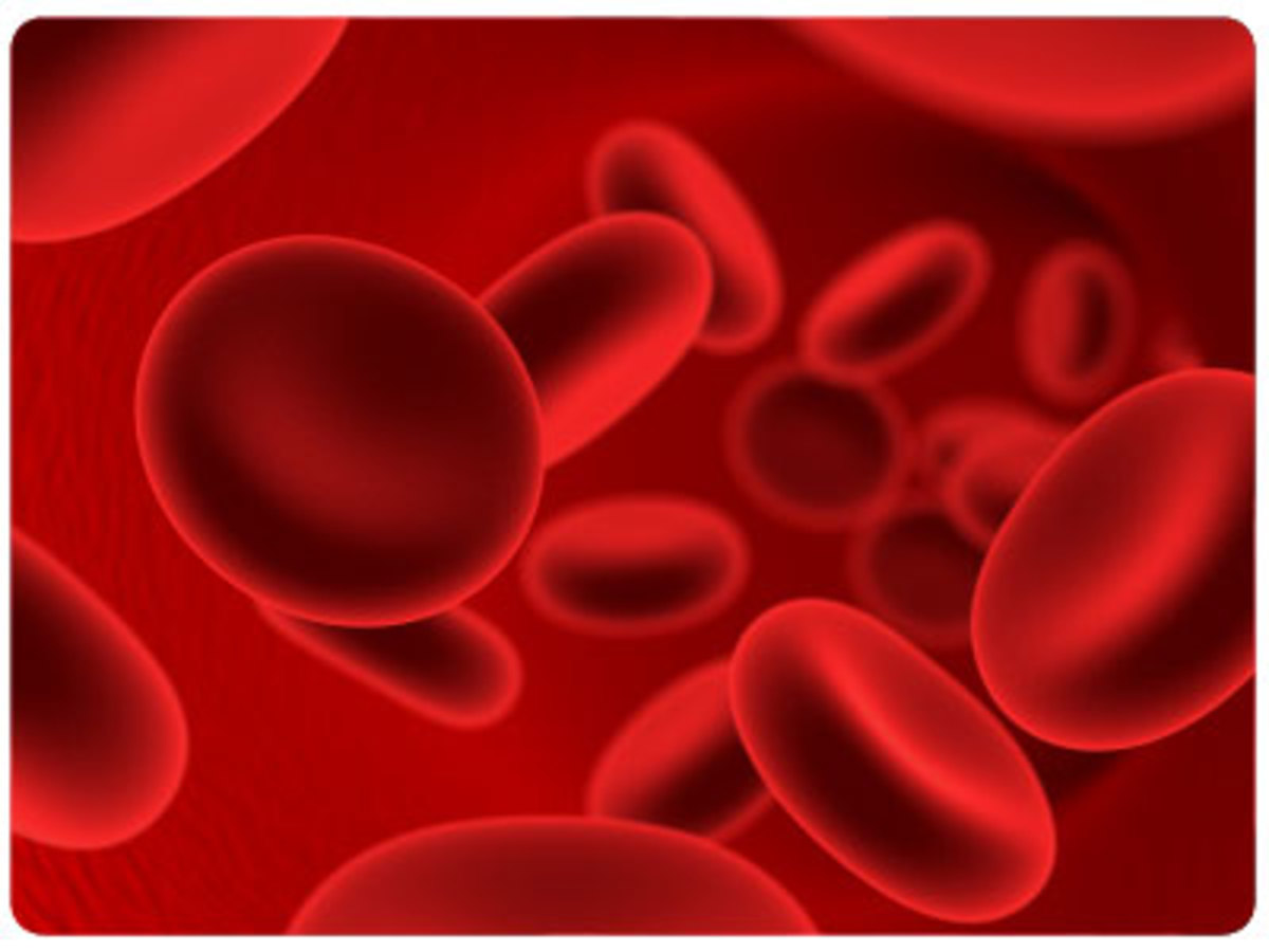 Blood Clotting - Biology - AS Level