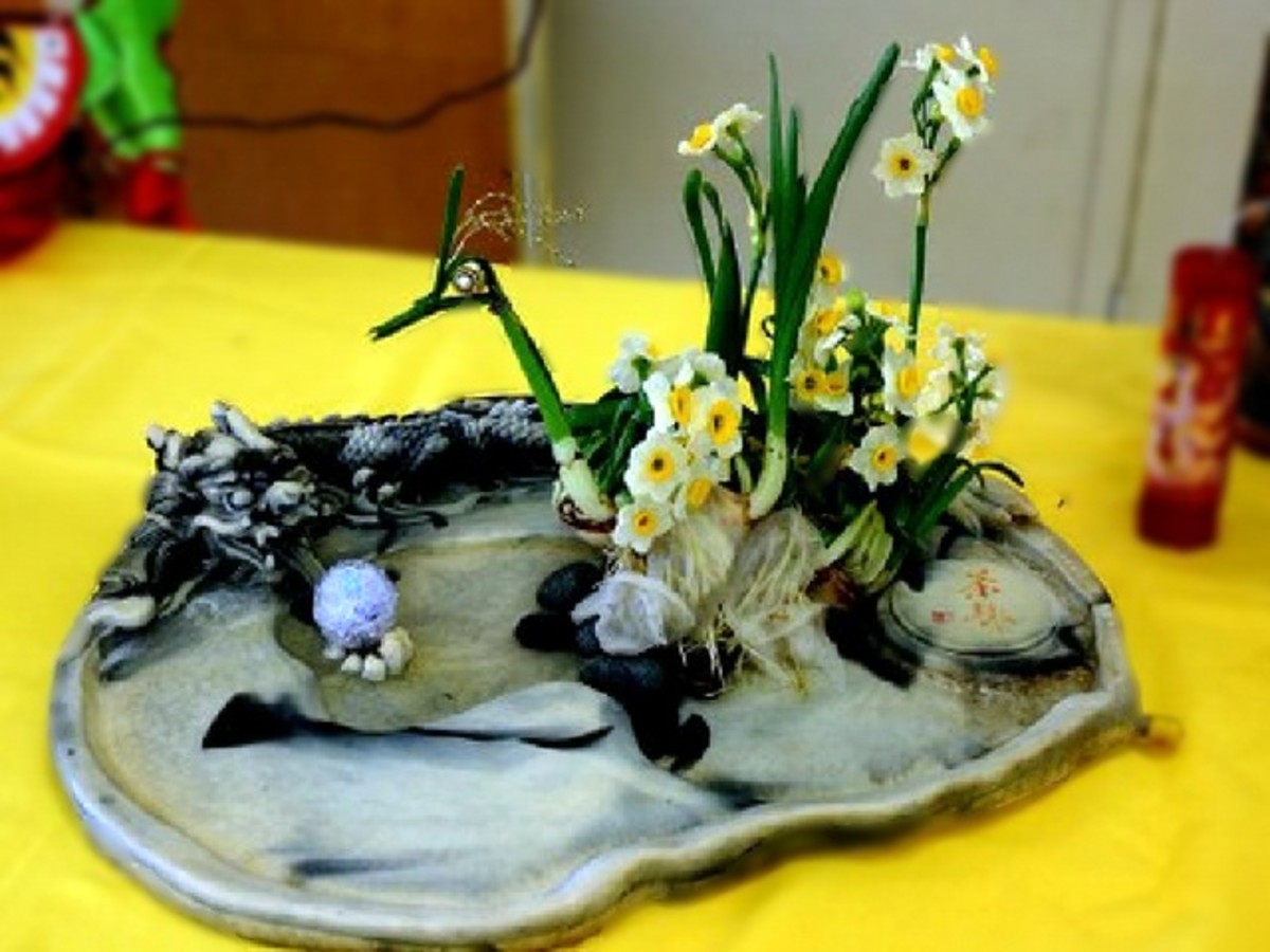 Narcissus carving is an addictive art that will produce an interesting end result for your Chinese New Year decoration