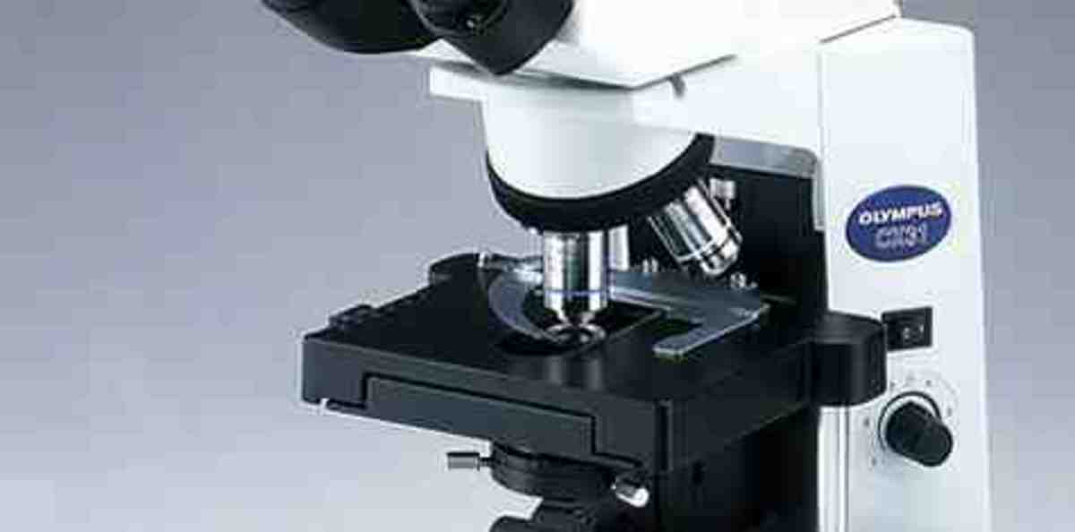 Microscopes A Fascinating Look At The Micro World