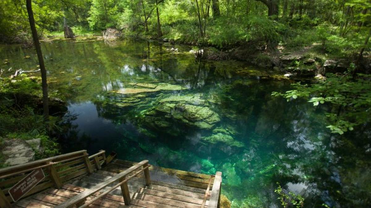 diving-in-florida-springs-and-sinkholes