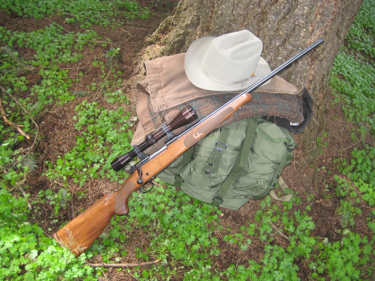 Winchester Model 70 Featherweight in .223