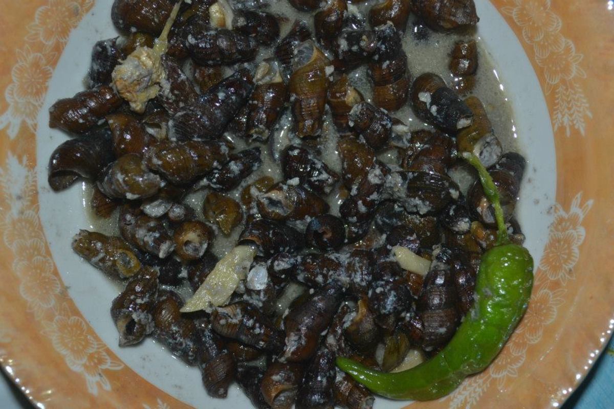 Exotic Filipino Foods HubPages