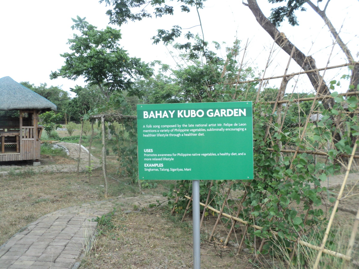 Nuvali Greens and Patches, Organic Demo Farm in Sta. Rosa Laguna Philippines