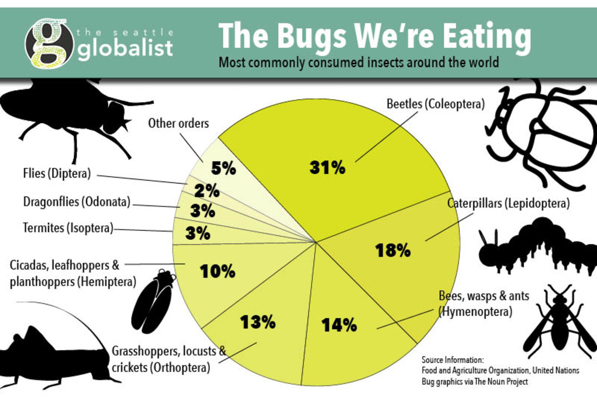                 Edible insects of the world