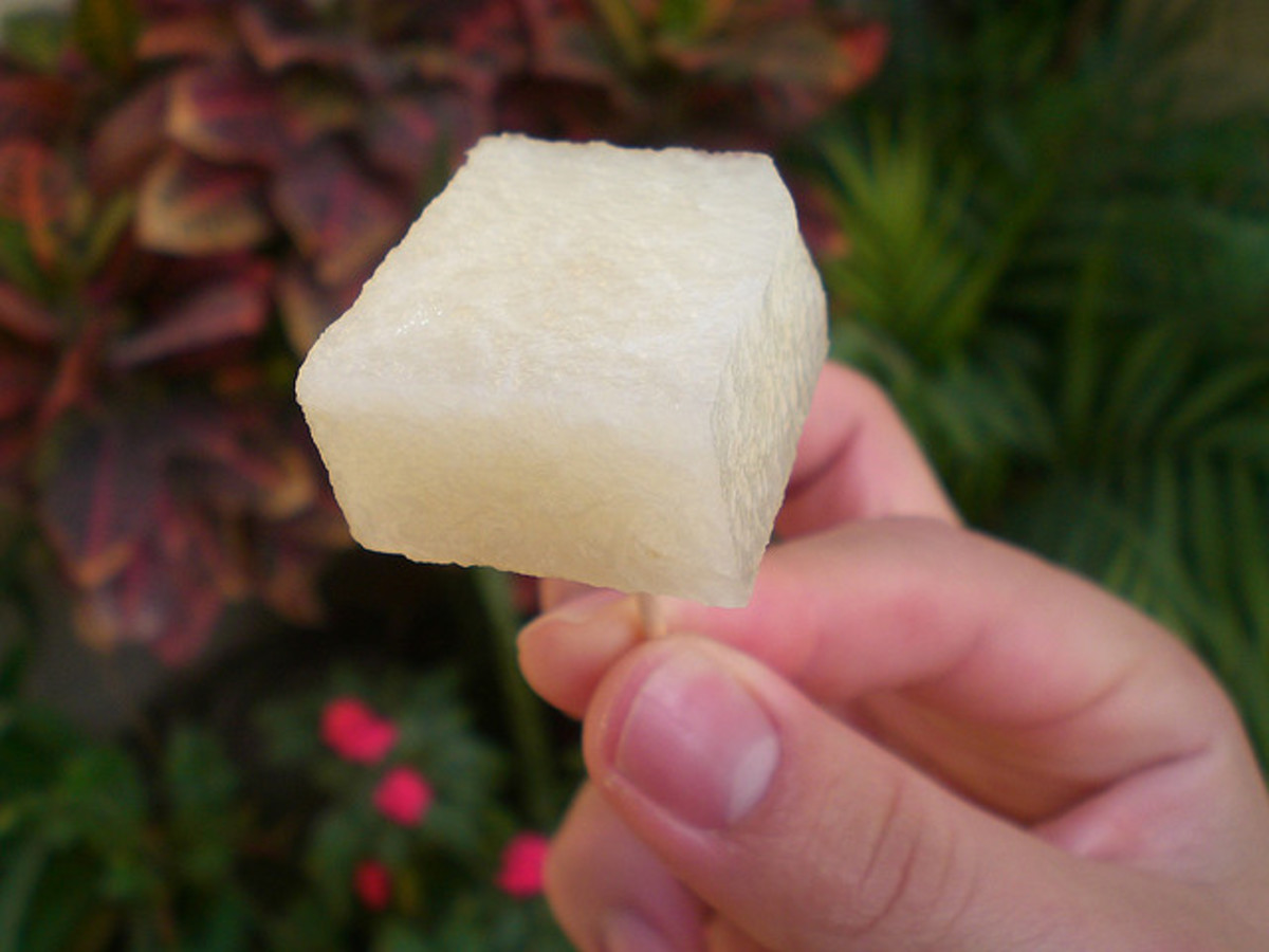 Tasty jicama cube! Juicy, crunchy, and a little nutty on the inside, hard to believe it looks like a potato on the outside, right?