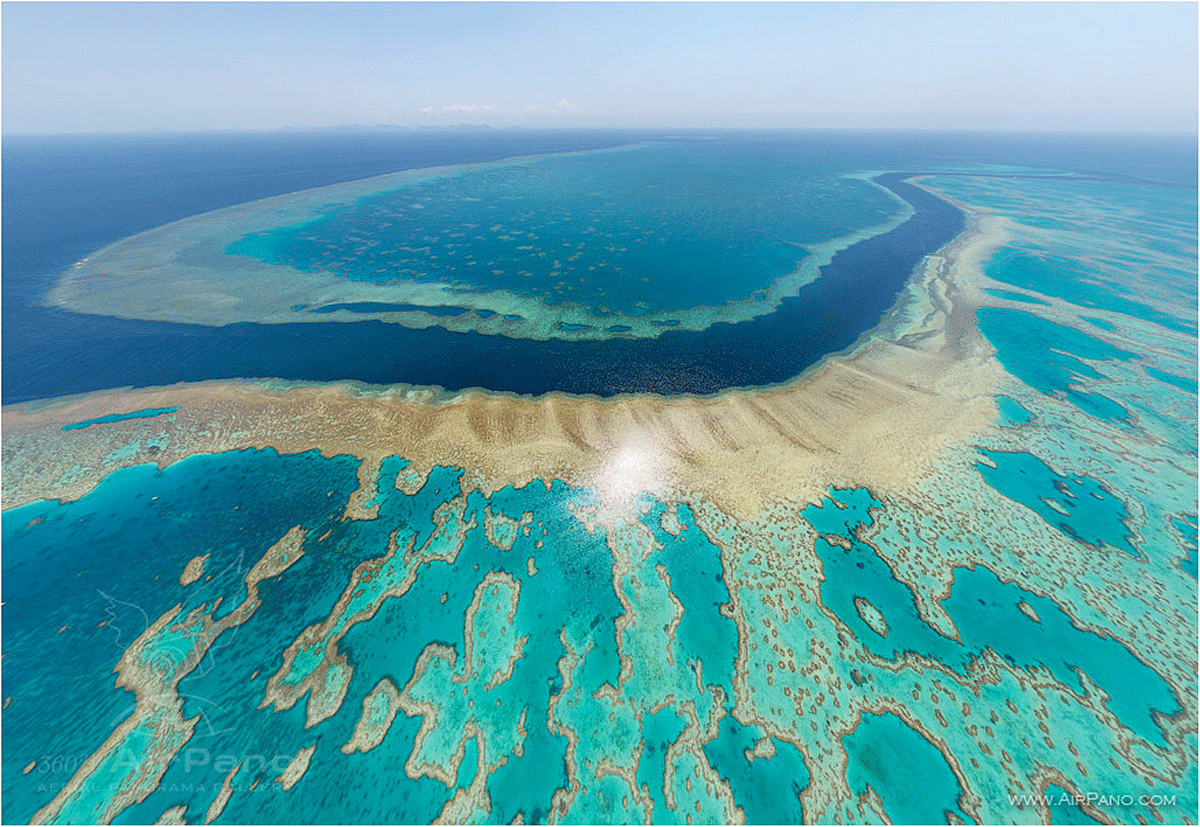 The magnificent shape and structure of the Great Barrier Reef is the only natural wonder that can be witnessed from outer space. 
