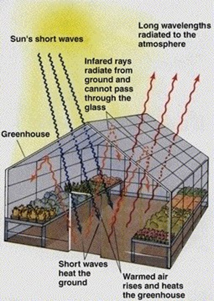 The Sun's Rays Enter a Greenhouse Through The Glass.  The Heat Generated By The Sun's Rays Hitting the Ground and Objects In The Greenhouse Cannot Escape and Heat The Interior.