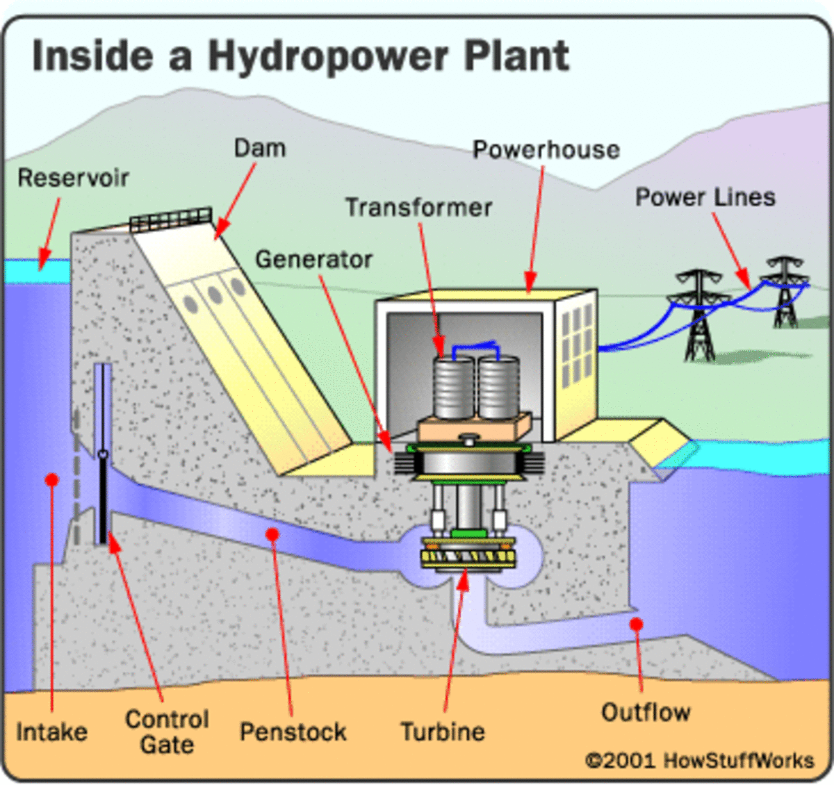 The illustration shows us how electricity is converted through a hydroelectric dam.