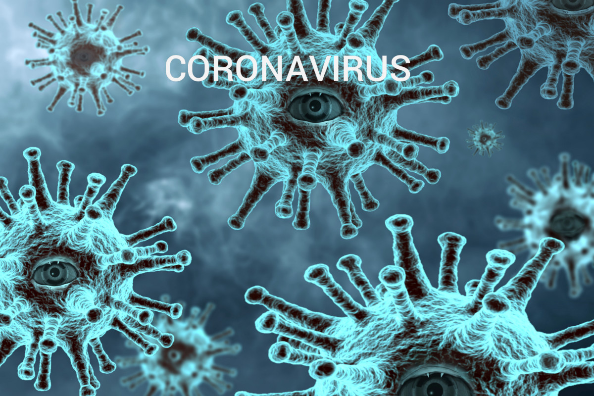 I Hate Coronavirus
