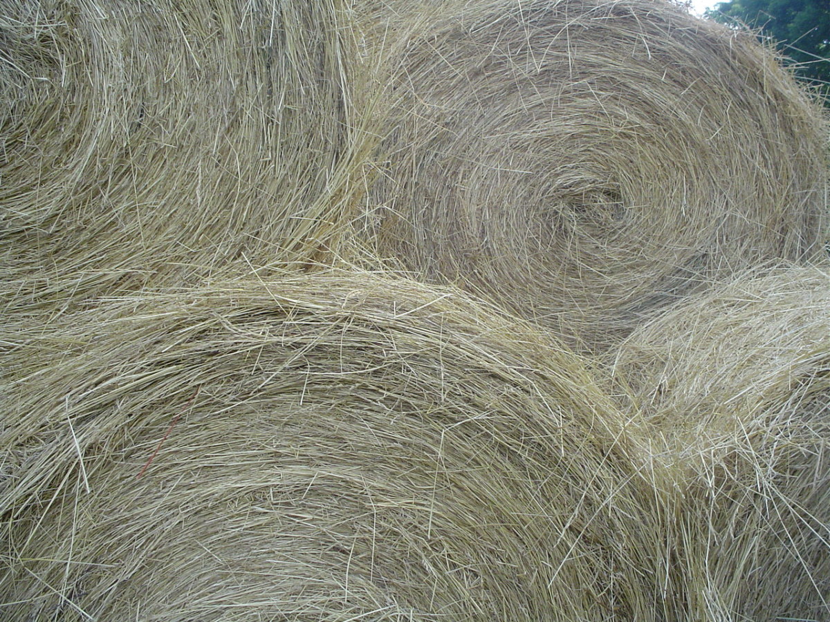 storing-hay-for-horses