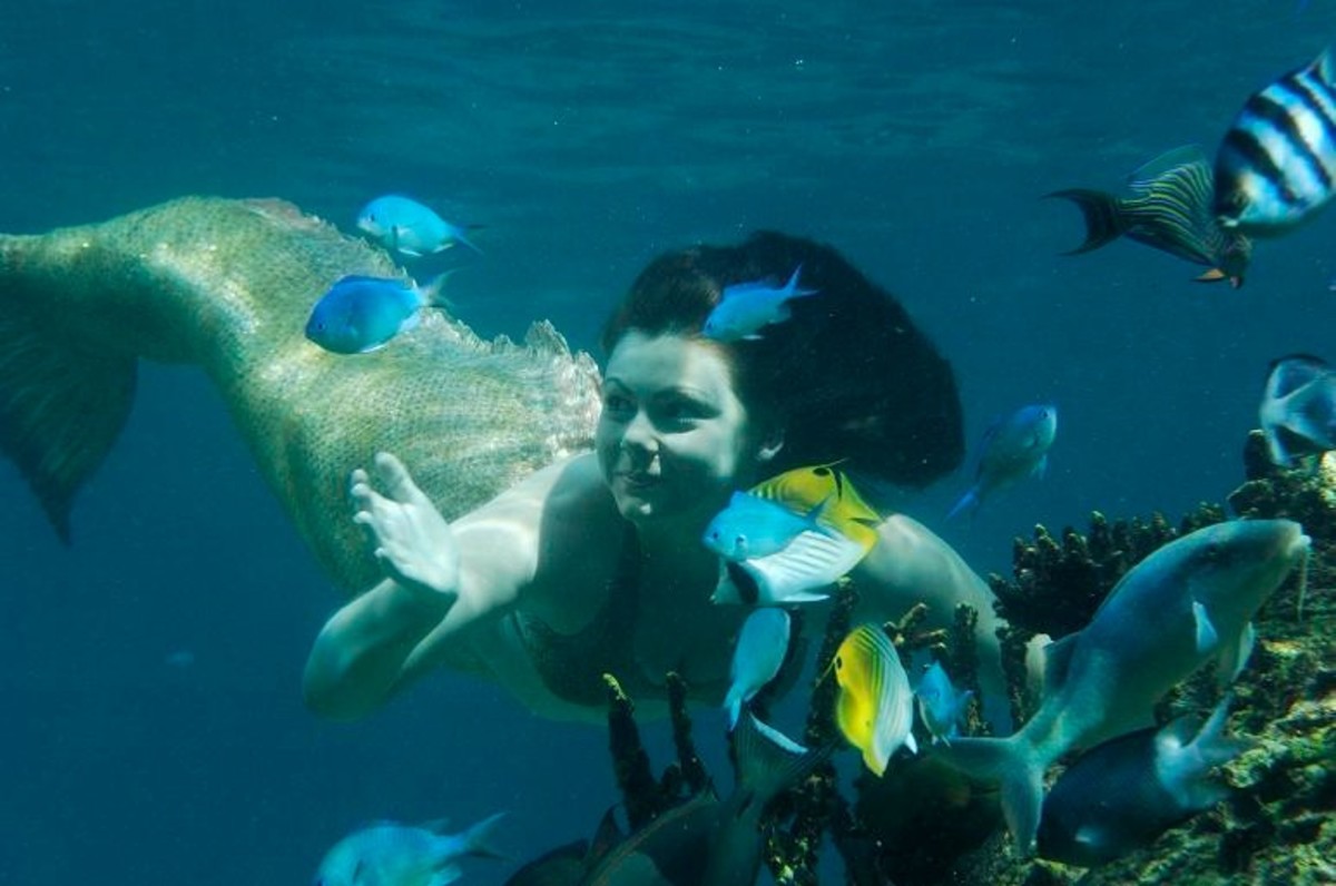 Modern day mermaid using a swim-fin