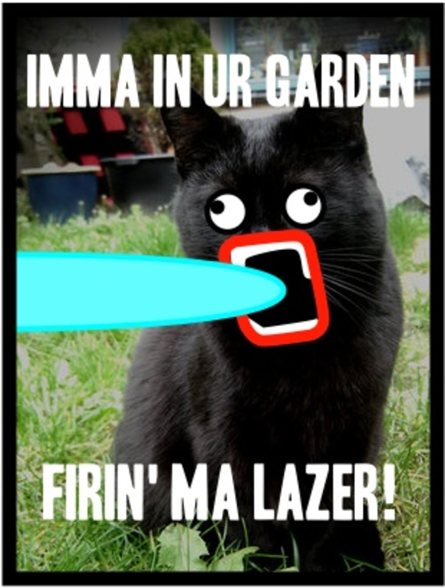 Imma firin mah lazer meme crossover with lolcats