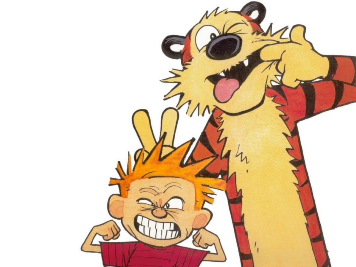 Practical Mathematics from Calvin and Hobbes for Kids Math