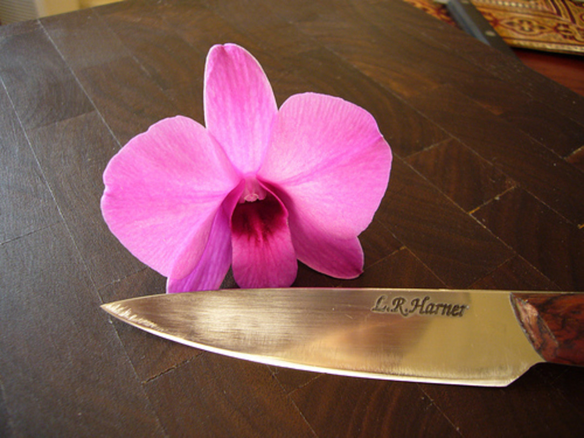 Exotic Paring Knife (Photo courtesy by wangspeed from Flickr)