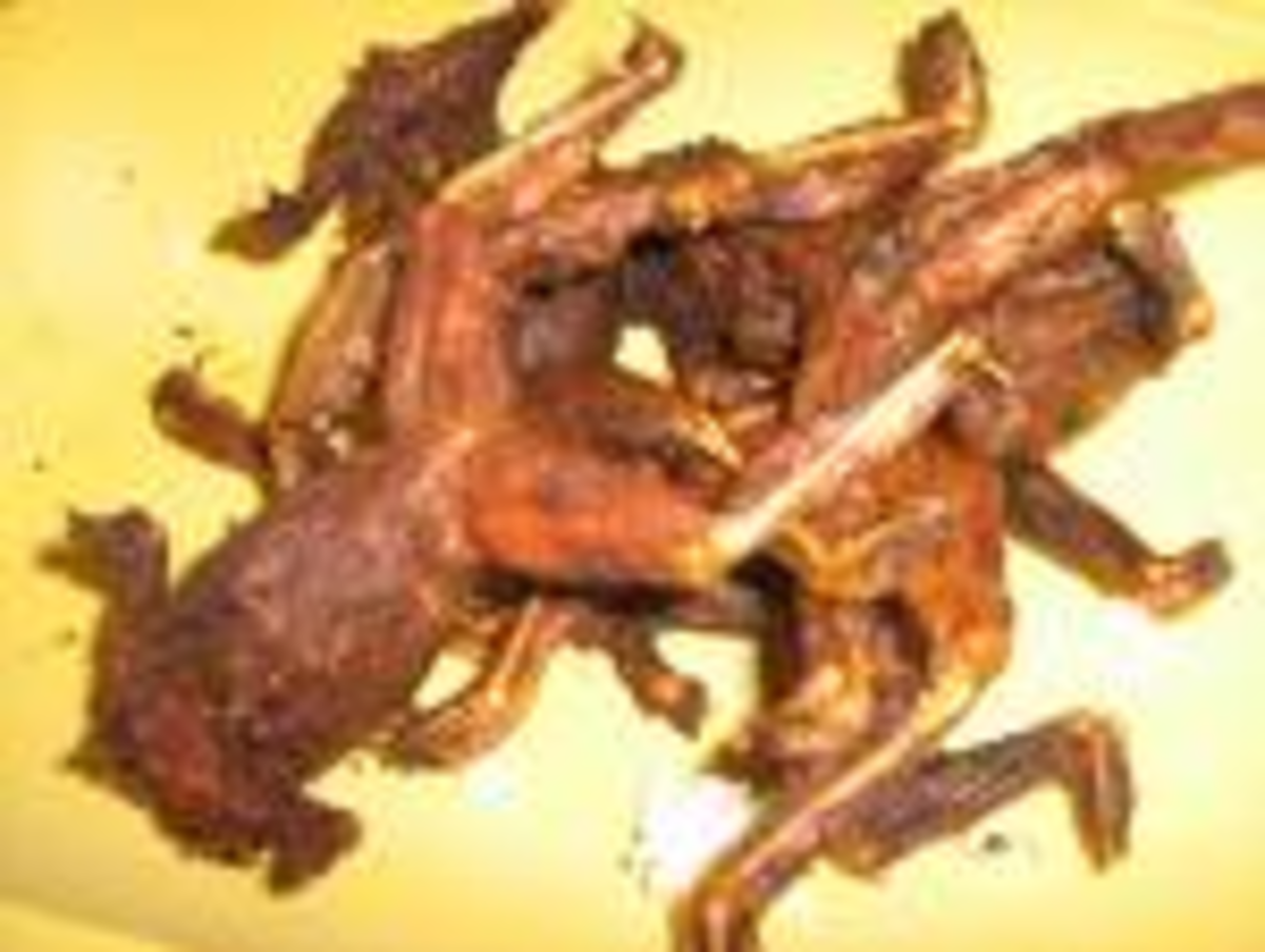 Fried Frog (Courtesy of http://www.pinoyunderground.com/showthread.php?t=89140)