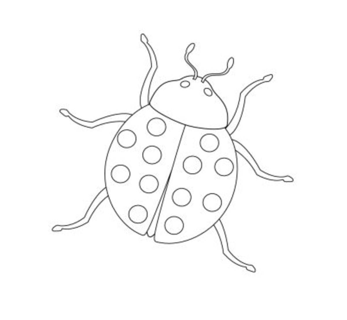 Трафарет насекомых для рисования