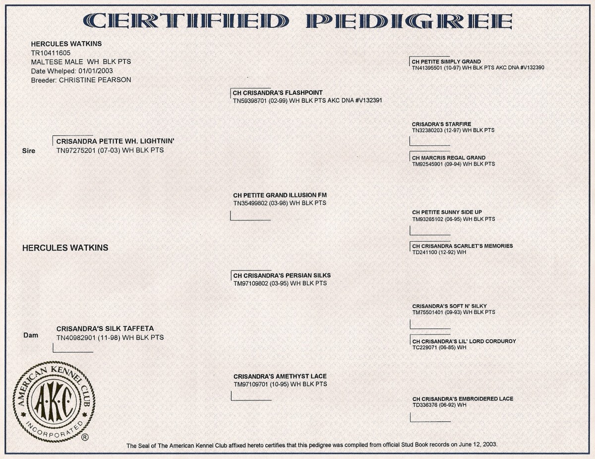 Hercules AKC Pedigree Certificate