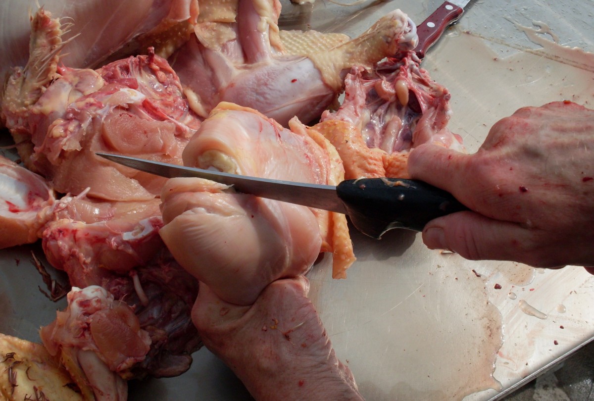 Find the joint between the lower leg and thigh with your thumb. Cut down toward it. Cut half-way through the joint from the top. This may take more than one try, especially on big birds.