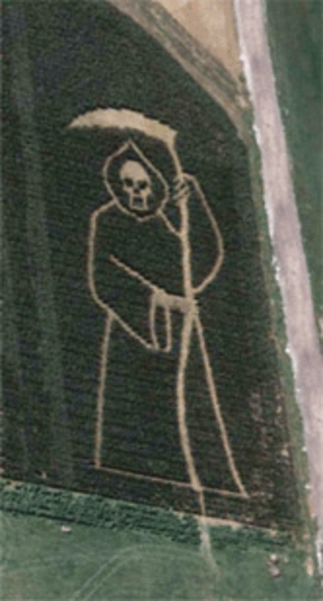 Grim Reaper Corn Maze