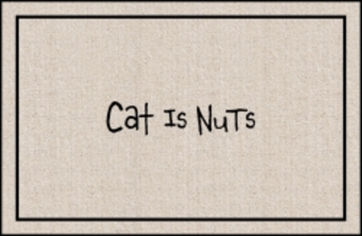 funny-cat-doormats