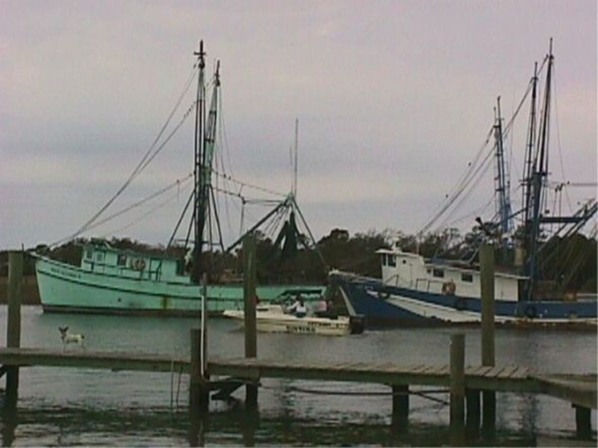 shrimp-boats