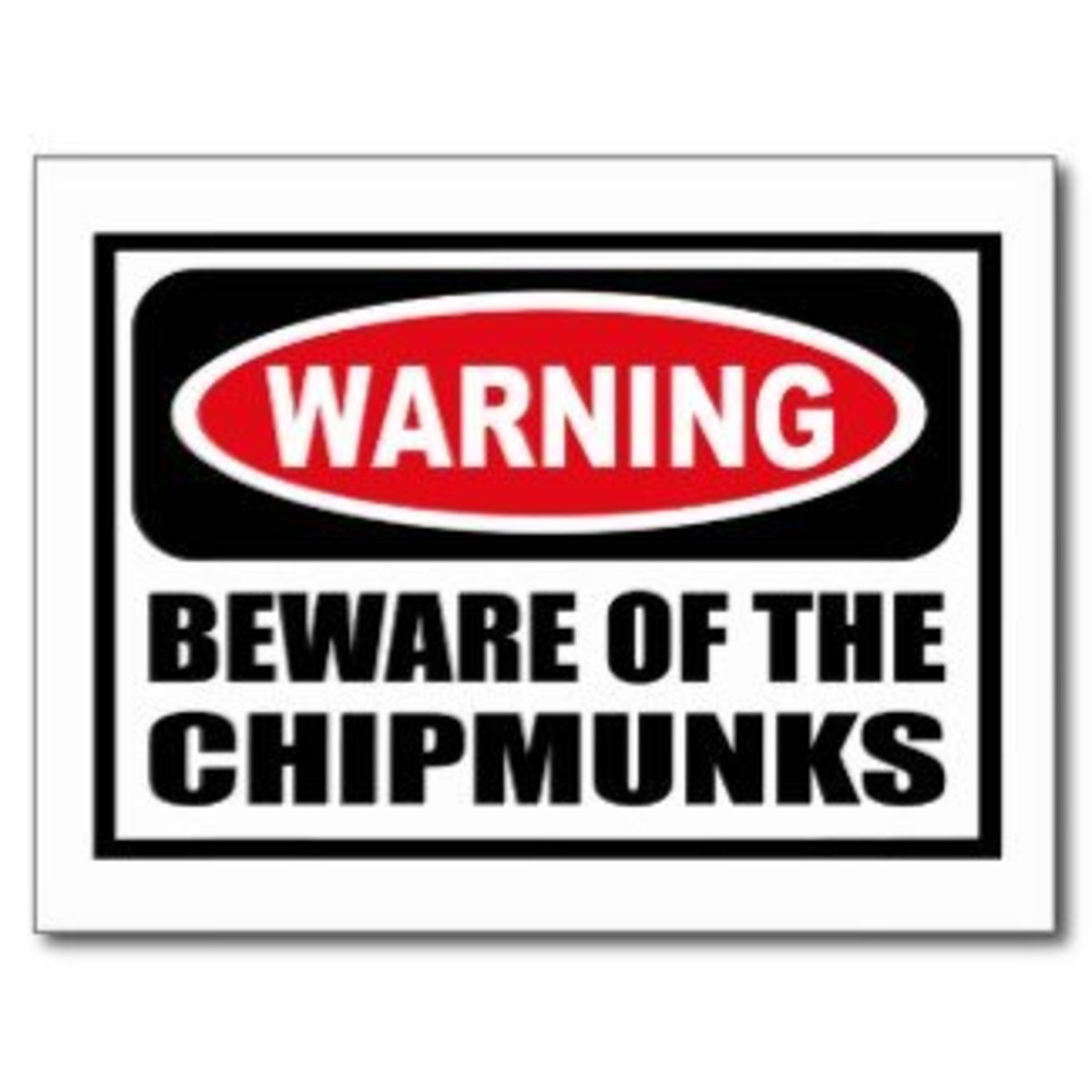 get-rid-of-chipmunks