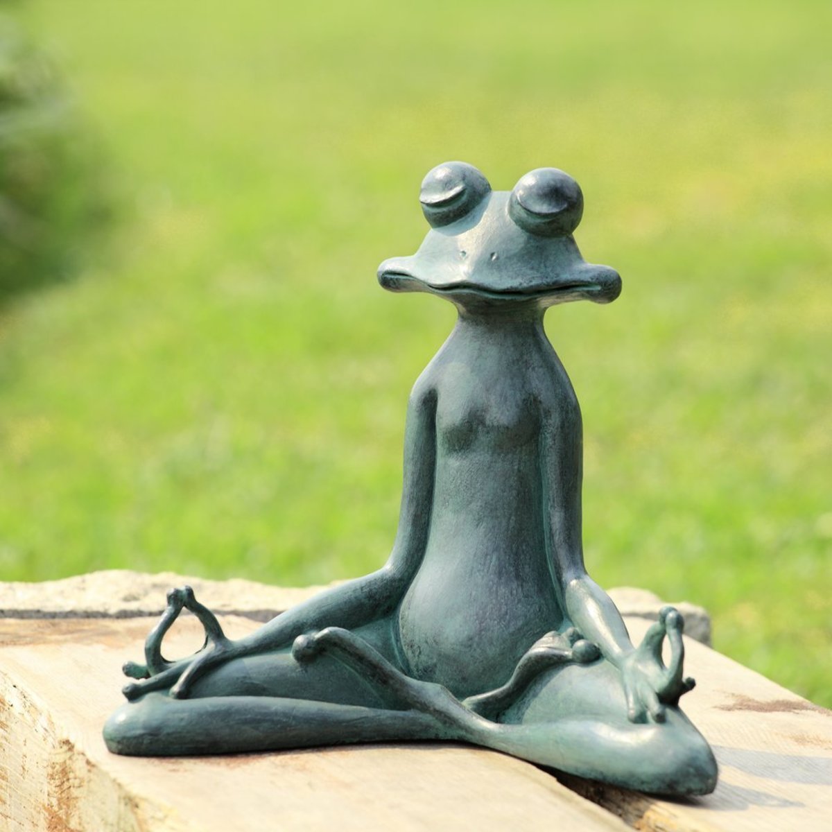Yoga Frog in meditation