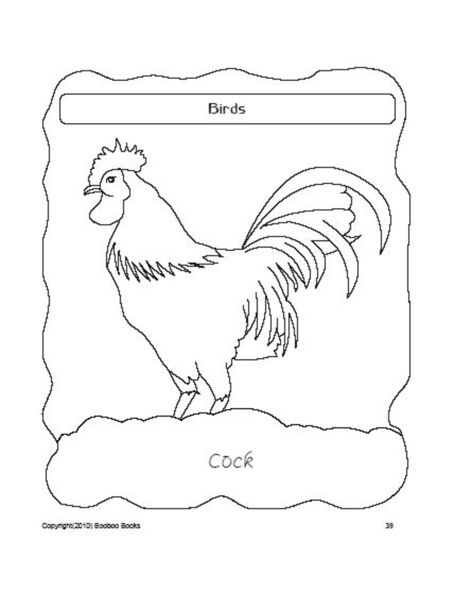 PreSchool Coloring Pages - Birds