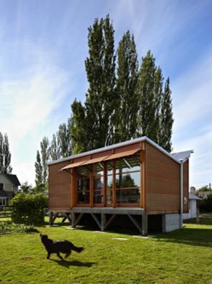 tiny-house-movement-growing