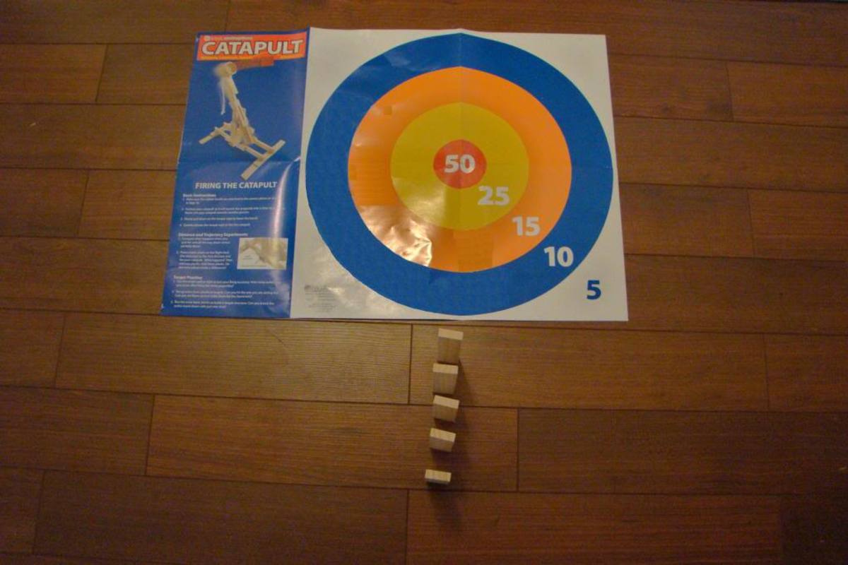 The target that comes with the catapult kit.