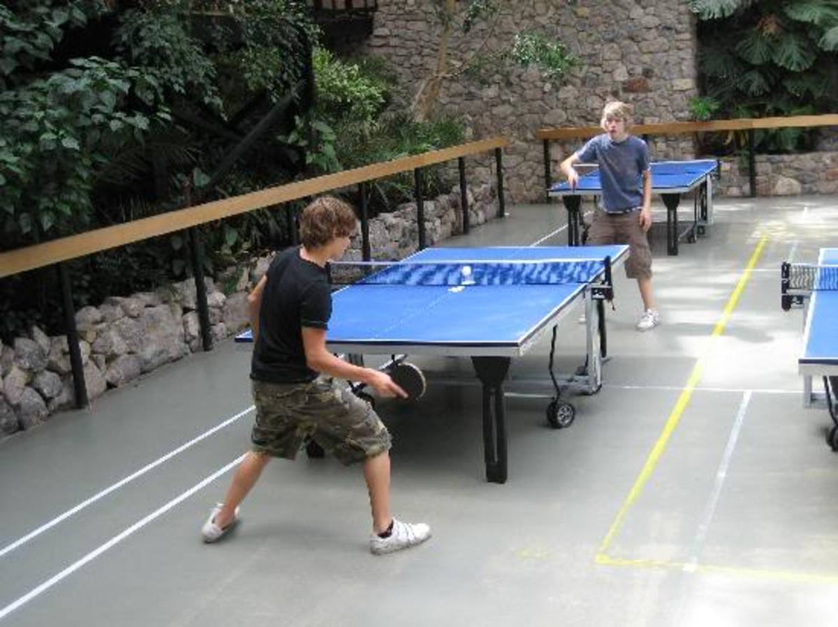 Ping Pong and Table Tennis Difference, History, Fun Facts HubPages